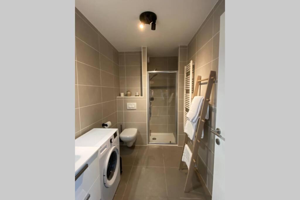 Le Boheme Beau T2 Vue Lac & Montagnes + Garage Annecy Ngoại thất bức ảnh