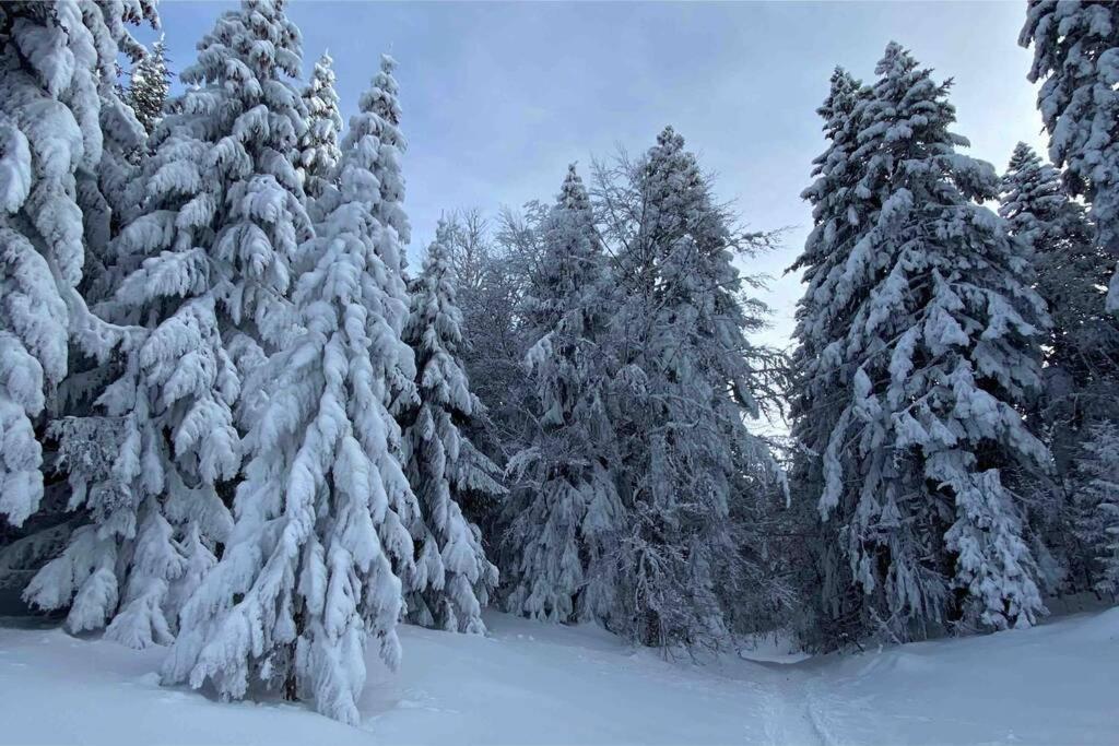 Le Boheme Beau T2 Vue Lac & Montagnes + Garage Annecy Ngoại thất bức ảnh
